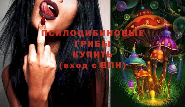 гашик Куйбышев