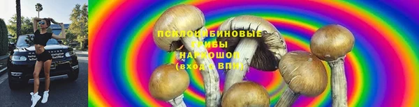 твердый Кукмор