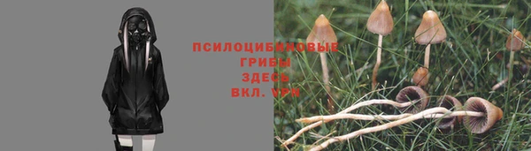 твердый Кукмор
