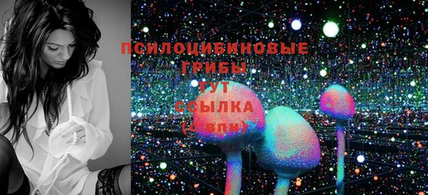 гашик Куйбышев