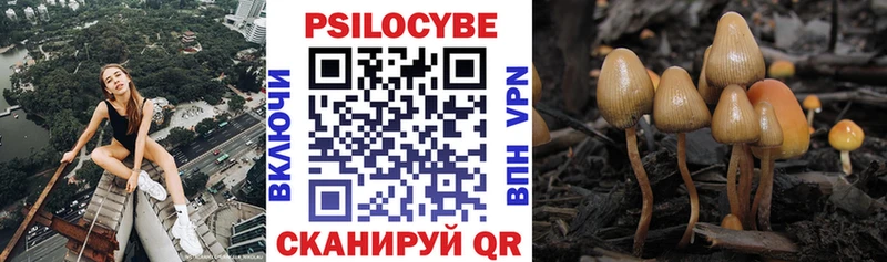 Псилоцибиновые грибы Magic Shrooms  Купить где  Апшеронск 
